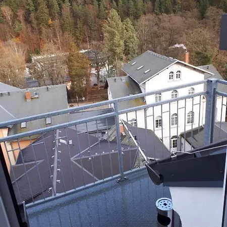 Wieko Ferienwohnungen - Luxus Pur im Prinz von Preußen Bad Elster Exterior foto