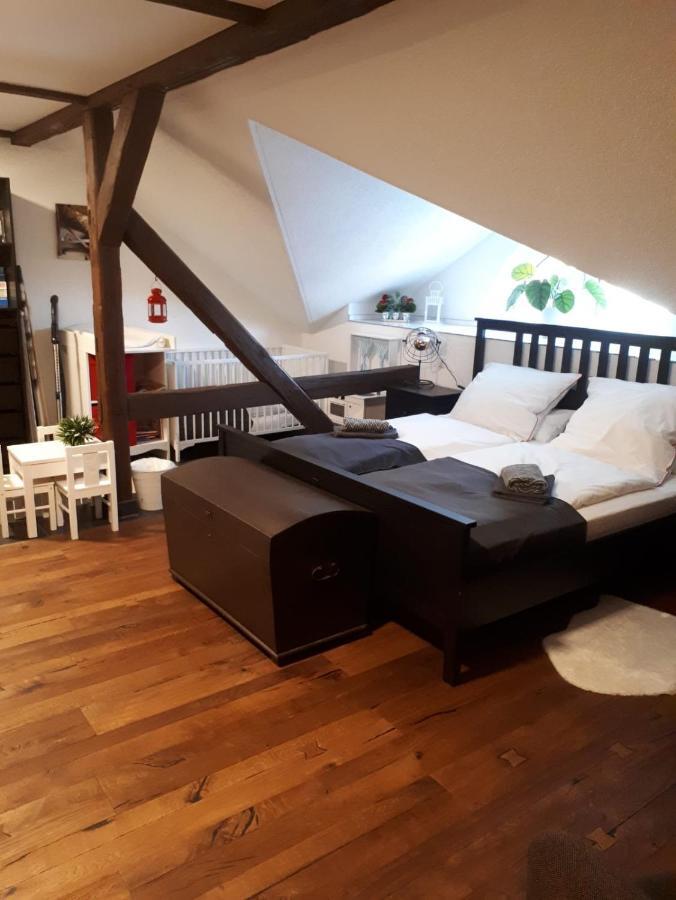 Apartment Wieko - Luxus Pur Im Prinz Von Preussen Bad Elster